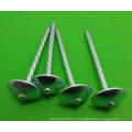 Umbrella Head of All Sizes Roofing Nail